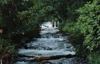 FJAKA - Kuća za odmor - NP Krka - Photo 32