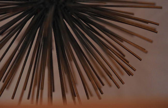 Kåseberga Hideout - Foto 77