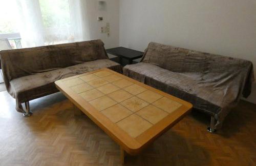 Weisses Huhn von Moschendorf - Photo 50