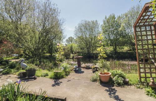 Kingfisher - Foto 20