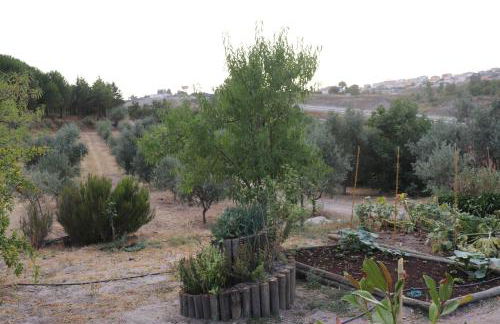 Quinta da Poipa - Foto 42