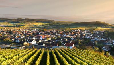 Ferienhof Schlössle - Foto 3