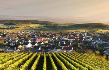 Ferienhof Schlössle - Foto 3