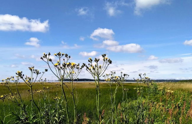 8 Person Holiday Home in Ronde - Foto 16