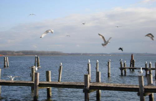Ferienwohnung mit Garten in Zweedorf - Foto 43