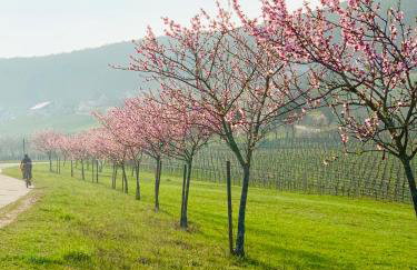 Villa Mandelblüte - Foto 9