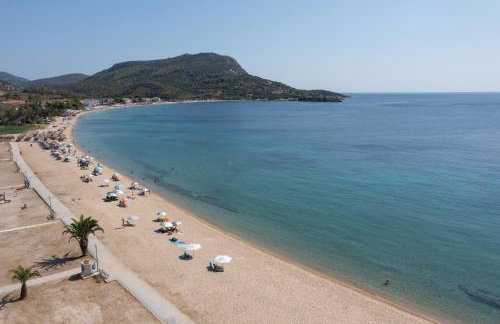 Acapus Studios - Foto 54