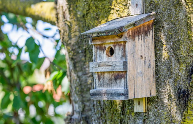 Holiday Home in Gersdorf Near a Swimming Lake - Foto 23