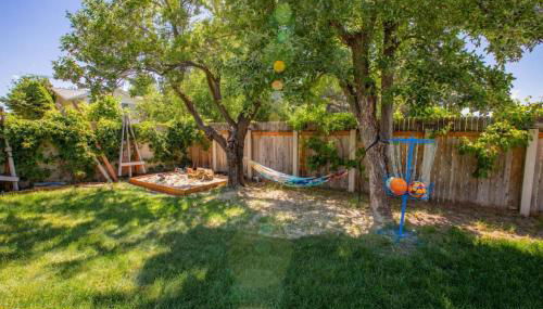 Grumpy Grizzly - Foto 4, Garden