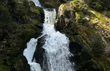 2 Zimmer Wohnung, mit Sonnenterasse - Foto 31