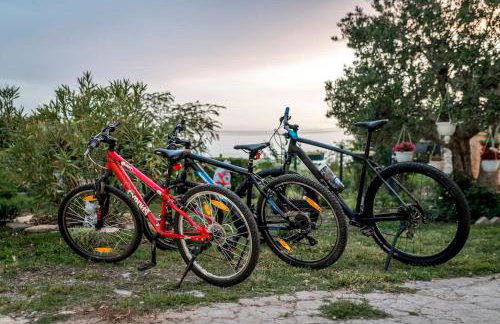 APARTMENT AMELIA VRPOLJE - Photo 34