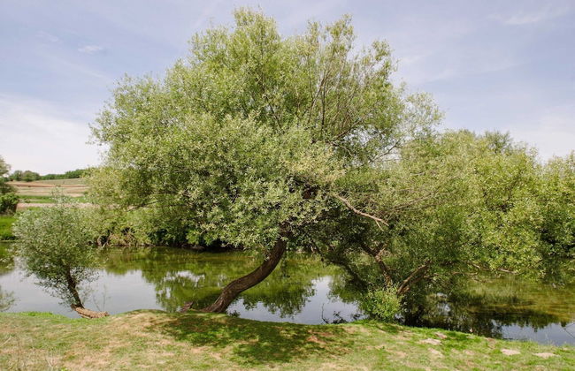 Traditional Houses Korana River - Foto 29