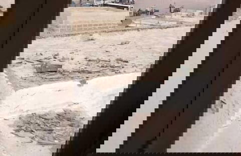 Alibaba House - Foto 6