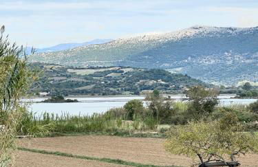 Maison Rivière - Photo 2