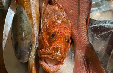 Villa Marisari - Foto 51