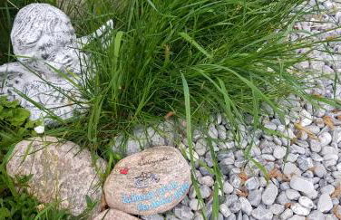 Haus am Deich - Foto 23