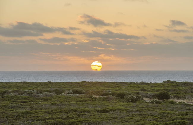 Kilifi Beach House Gnarabup - Photo 23
