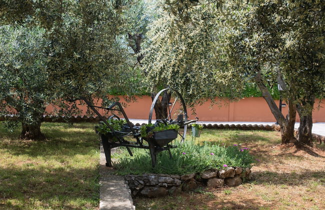 Villa Jakov - Foto 61