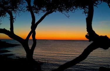 Il Nido di Tiggiano - Foto 42