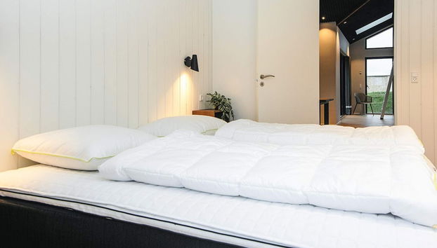 5 Star Holiday Home in Borkop - Foto 5, Interior