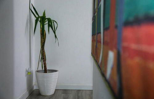 Casa Grainha Vidigueira - Foto 6