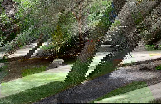 Tenuta Sidore - Photo 41