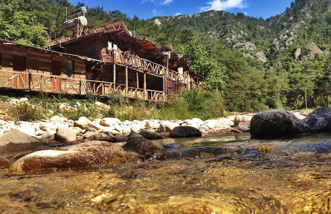 Kadir's Tree Houses - Photo 17