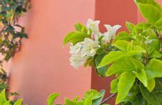 ONOMY Country House Vathypetro - Foto 31