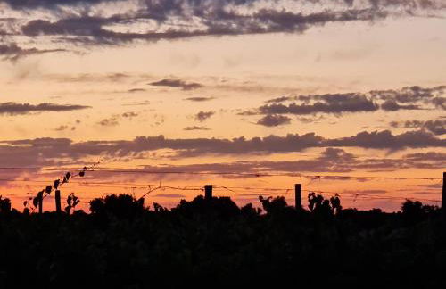 Herdade das Castas Nobres - Foto 119