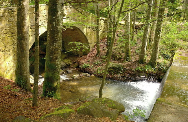 Casa di Giulio - Foto 25