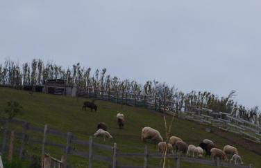 Um quarto da Casa Do Monte - Photo 65