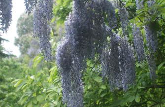 "Am Griebnitzsee" 14482 Potsdam-Babelsberg - Foto 21