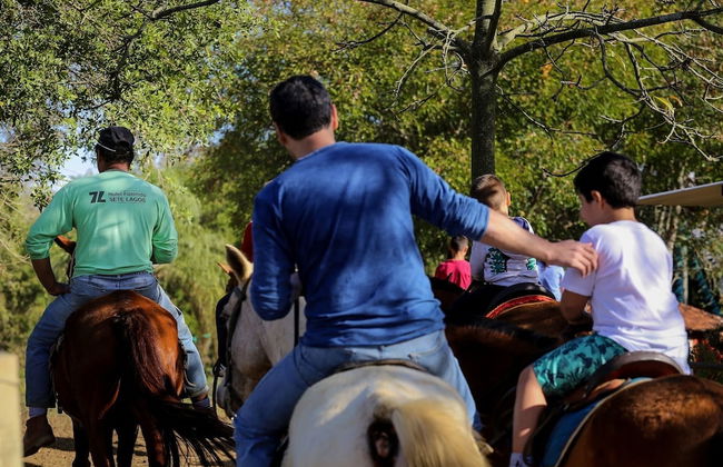Hotel Fazenda Sete Lagos - Photo 80