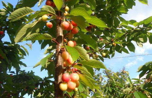 Agriturismo La Casa Nei Boschi - Foto 51