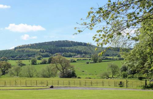 The Stables - Photo 19