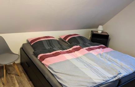 Ostfriesland für Familie und Haustier - Foto 11