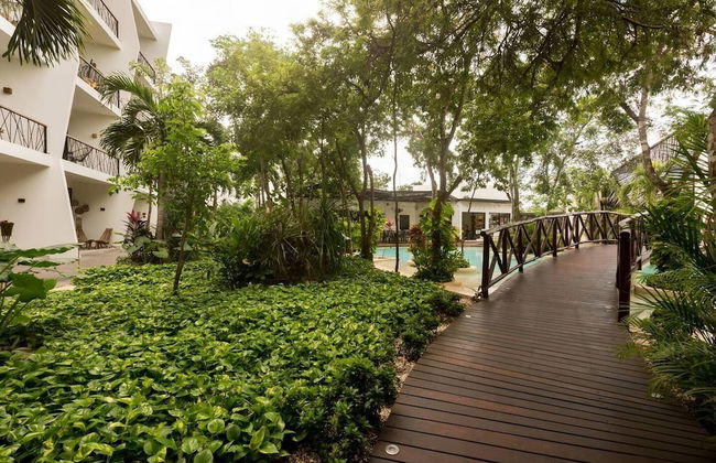 Amazing Studio With Private Pool Gym & Temazcal - Foto 25