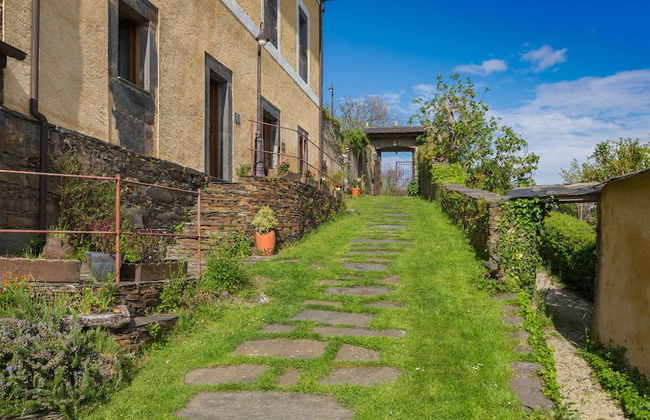 El Bosque de las Viñas - Foto 1