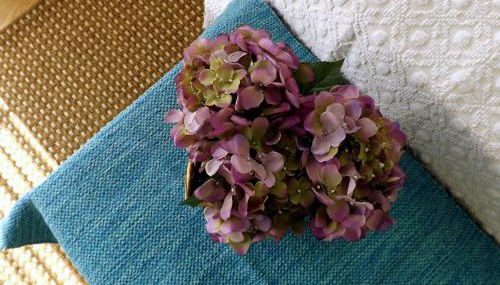 Casa Máximo - Foto 5