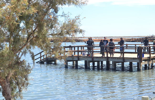 Aguas Salinas - Foto 30