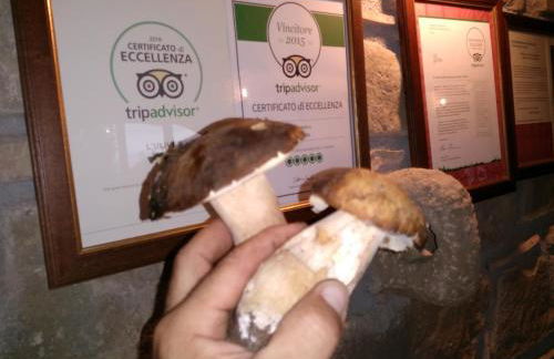 L'Uliveto - Foto 149