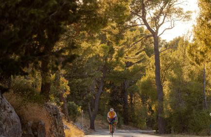 CECILIA Holiday Apartment, Private Parking Included - Foto 40