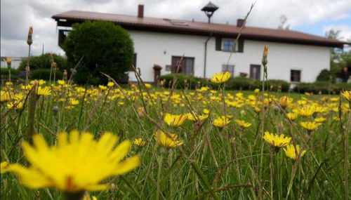 Ferienwohnungen Hackl Ulrike - Foto 3, Garden