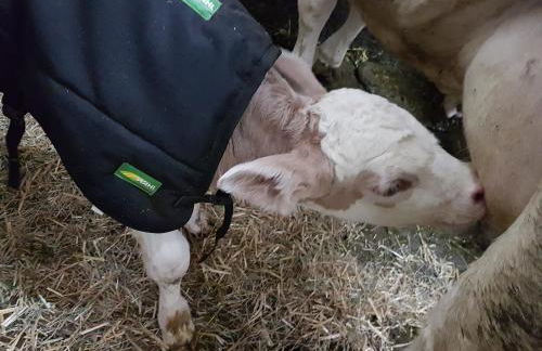 Gästehaus Annemarie - Foto 26