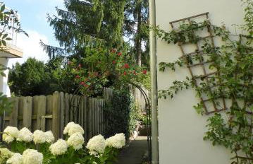 Schwalbennest - Foto 15