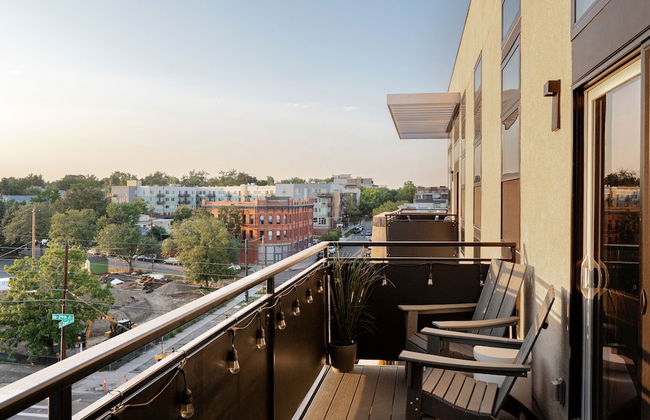 Bold & Elevated | Espadin LoHi - Foto 23