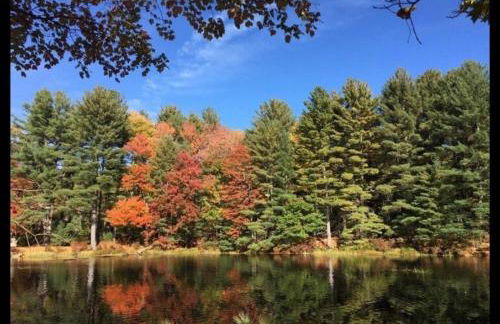 Cozy Creek House - Foto 65