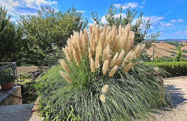 Apartment in Piticchio With Pool and BBQ - Photo 28
