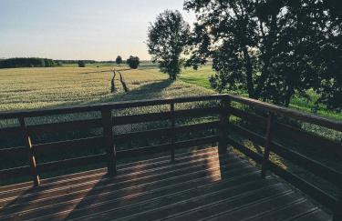 U Progu Lasu - Foto 49