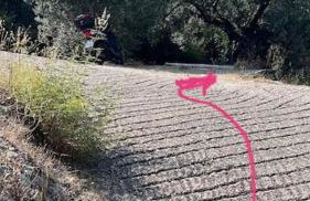 Maison de vacances pour 6 personnes - Photo 30